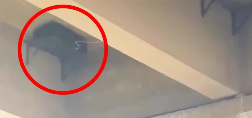Milli Savunma Bakanlığı: SAS Timlerimiz tarafından etkisiz hale getirildi