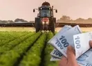 Çiftçiler dikkat! Bugün hesaplara yatıyor