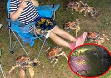 Kampı bastılar! Görenlerin ödü koptu...