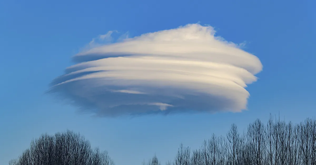 Van semalarında ilginç görüntü