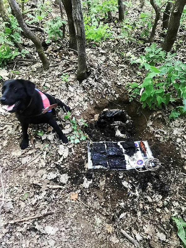 1657261553199.jpg Kurban Bayramı'nı kana bulayacaklardı! 60 kilogram patlayıcı ele geçirildi - 2