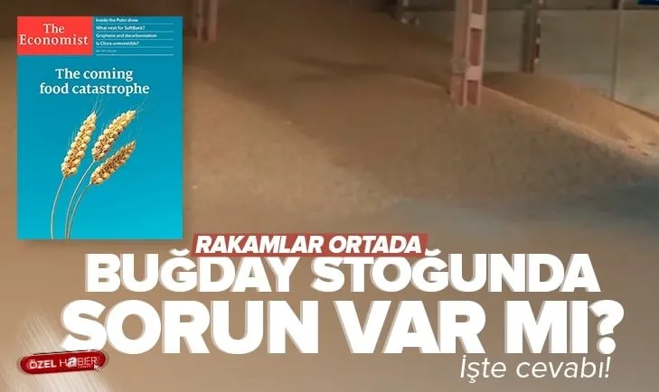 Küresel oyun: Buğday bitti | A Haber ekibi TMO’nun buğday silosunda: Türkiye’nin buğday stoğunda sorun yok