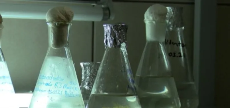 Marmara Denizi'nde salya araştırması!