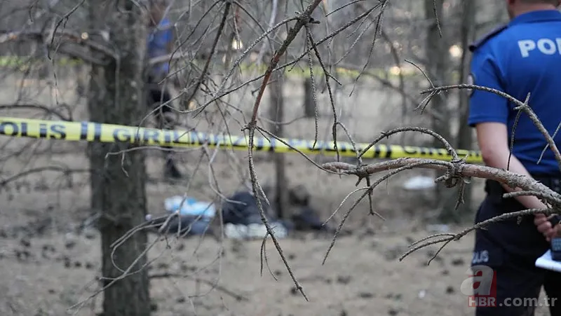 Müge Anlı’da çözülen 19 yıllık cinayet! Ormanda bulunan ceset firari doktora ait çıktı 8