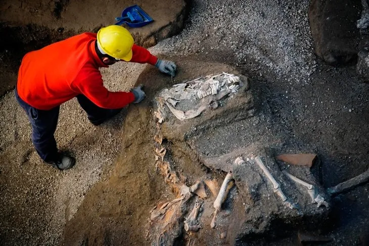 Pompeii Antik Kenti’nde taşlaşmış halde hayvan kalıntıları bulundu