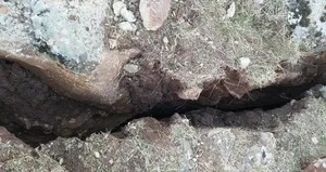 Korkutan görüntü! Depremden 45 dakika önce gördüler