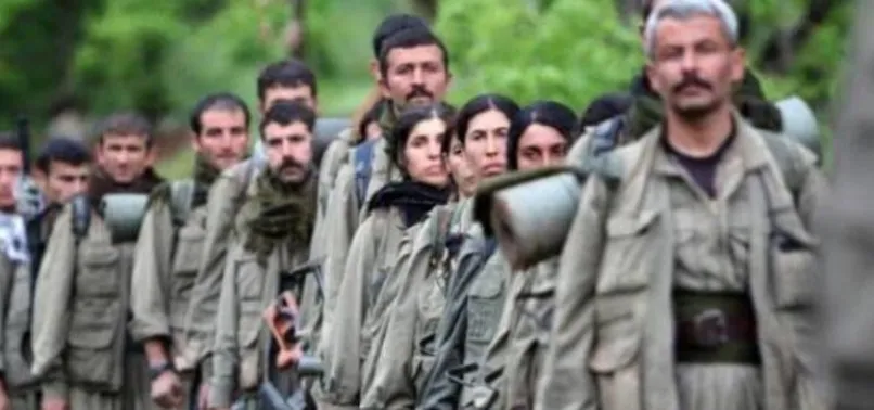ABD'den kritik terör örgütü PKK açıklaması