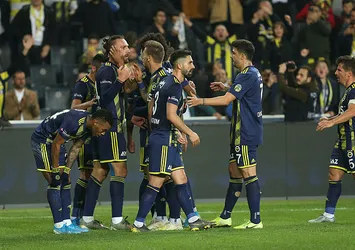 Fenerbahçe'de sakatlık şoku!