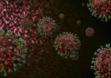 Soğuk havalarda hastalıklara karşı besin önerileri!