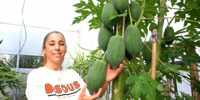 Kimsenin aklının ucundan geçmeyen reçel yaptı! Paraya para demiyor! İspanya'da gördü hayatı değişti... 8