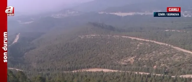 Türkiye Yüzyılı’nda tarım, ormancılık ve hayvancılık! A Haber ekipleri sahada