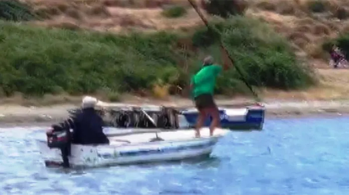 Bodrum'da camgöz köpek balığı 2 kişi tarafından işkence edilerek öldürüldü - 2