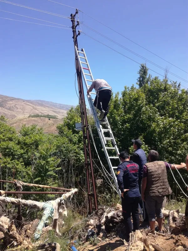 Çıktığı elektrik direğinde mahsur kaldı - 1
