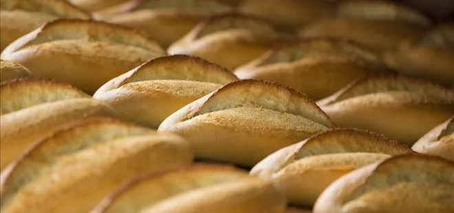 Ekmek fiyatı ne kadar? 9 Kasım 2023 İstanbul’da ekmek kaç TL oldu son dakika?