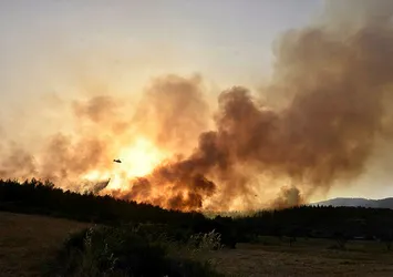 Milas'taki orman yangınında 'sabotaj' şüphesi