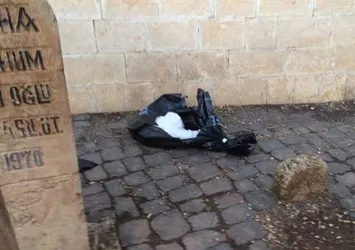 Cami bahçesinde kesik bacak bulundu