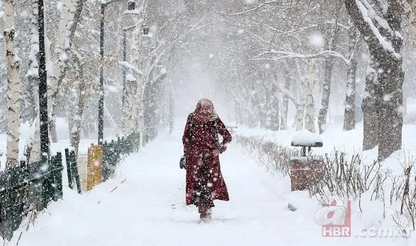 Valilikler peş peşe duyurdu! Eğitime kar molası: İşte 13 Ocak Salı okulların tatil edildiği iller 7