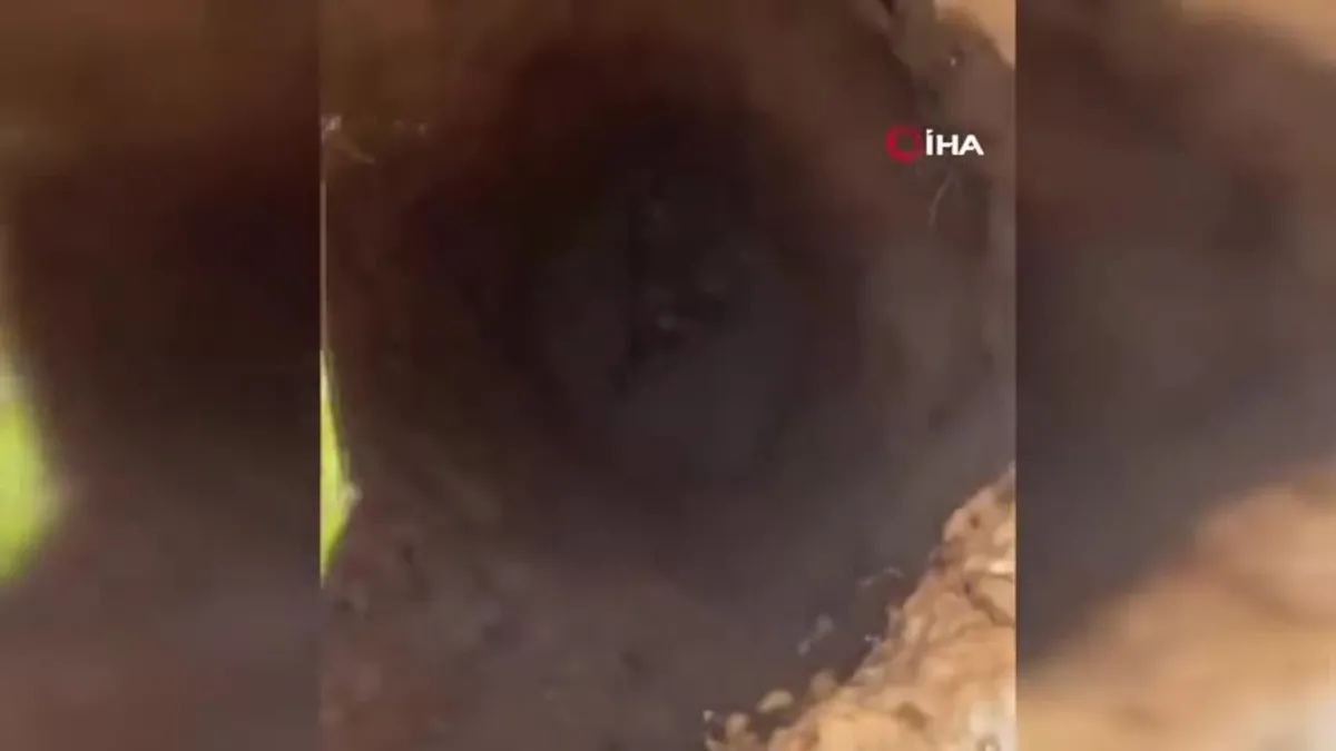 Elektrik direği açtılar! Kuyudan çıkanlar şaşırttı