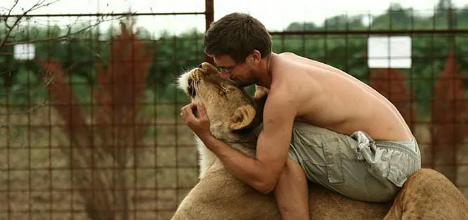 Aslan kendisini besleyen sahibini öldürdü