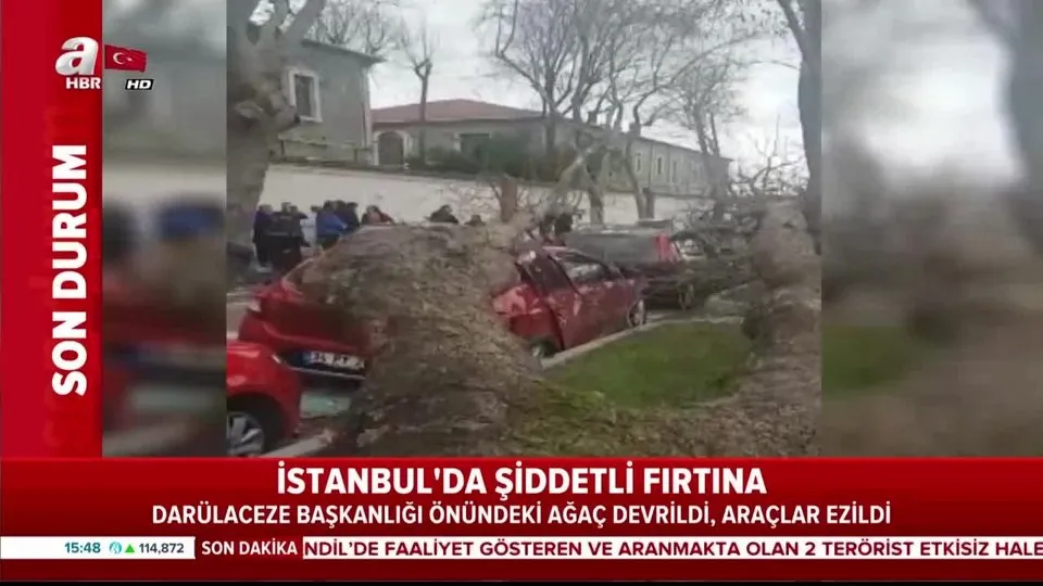 Istanbul Da Agac Devrildi Araclar Ezildi Ahaber Video Izle