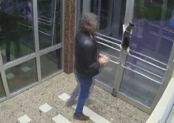 Görüntüler Türkiye’yi ayağa kaldırmıştı! Kedi düşmanı gözaltında