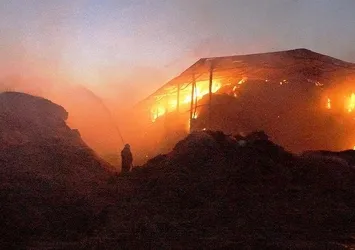 Ankara’daki çiftlik yangınında büyük hasar