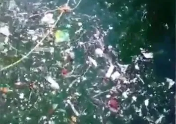 CHP'li İBB şehrin sorunlarına gözlerini yumdu! Bebek sahilinde büyük rezalet