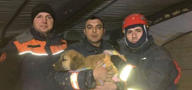 Beykoz’da kuyuya düşen köpek yavrusu kurtarıldı