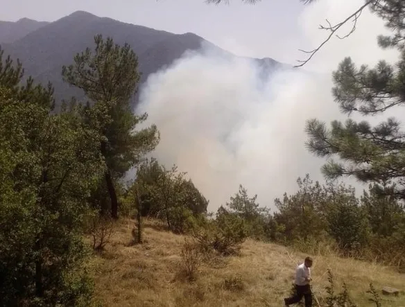 karabukte-orman-yangini-havadan-ve-karadan-mudahale-suruyor-msbden-sondurme-calismalarina-destek-1720109415768.jpg Karabük'te orman yangını! Havadan ve karadan müdahale ile alevler kontrol altında