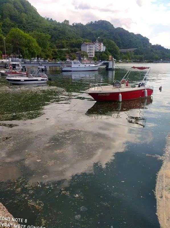 Son dakika: Deniz salyası kabusu yayılmaya devam ediyor: Karadeniz'e sıçradı - 2