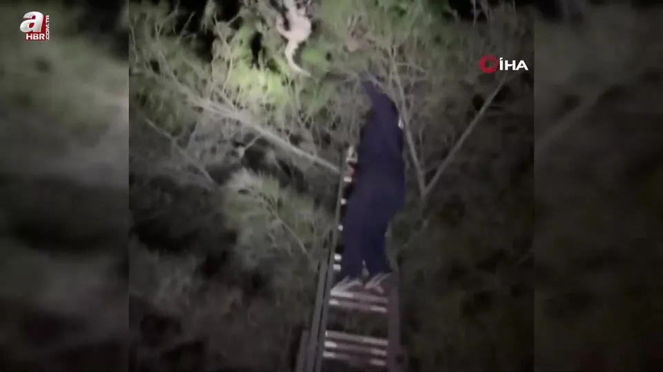 Ayağına misina dolanan leyleğe itfaiyeden hayat kurtaran müdahale