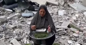 Açlıktan yaprak ve yabani bitki yiyorlar