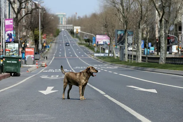 SON DAKİKA | Yarın sokağa çıkma yasağı var mı? Bu haftaki sokağa çıkma yasağı ne zaman başlıyor? 27-28-29 Kasım...