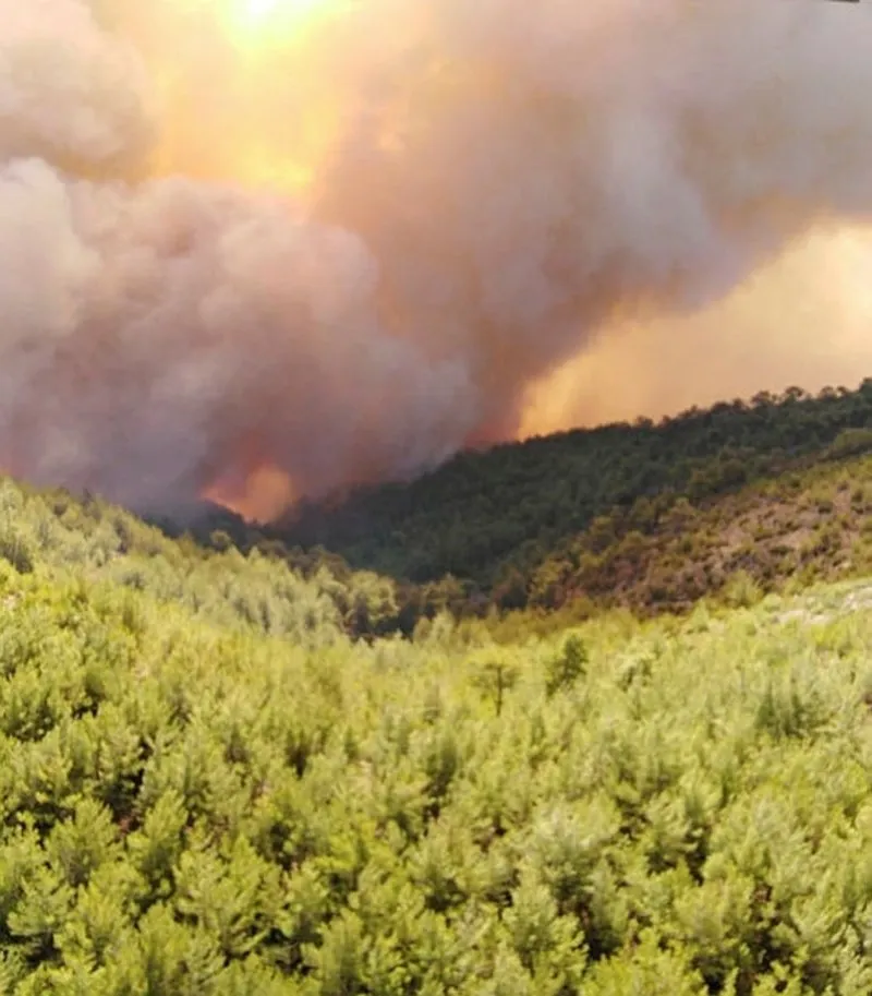 Son Dakika Mugla Milas Ta Orman Yangini