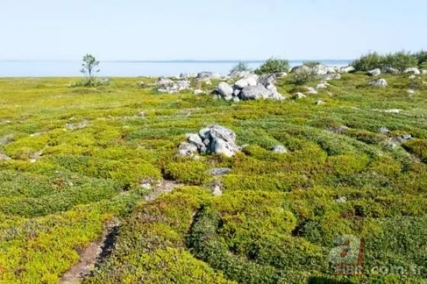 Dünyayı yok edebilecek bir süper yanardağ! Tüyler ürperten Cehennem Kuyusu’nun dibine ilk kez inildi 18