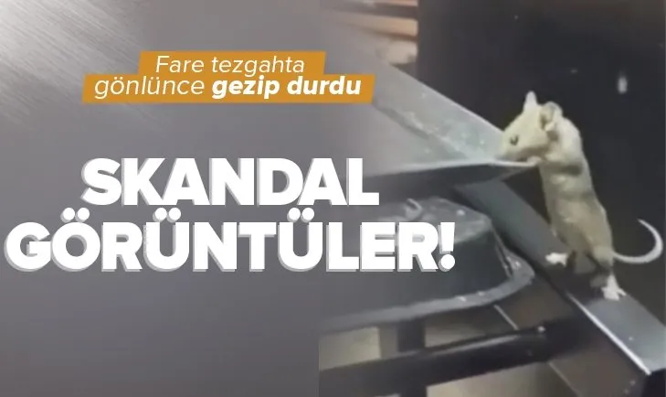 Skandal görüntüler! Fare poğaça rafında gezindi! İşletme sahibine jet inceleme