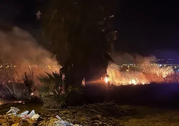 Mersin'de sazlık alanda yangın paniği!