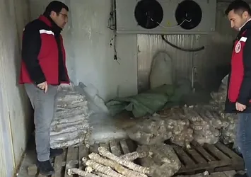 Vatandaşlara yedireceklerdi! Hepsi imha edildi