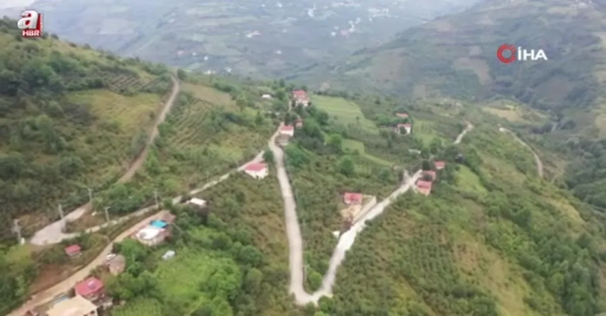 Ordu’da beton yol çalışmaları devam ediyor