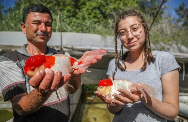 Son dakika | Siparişler kapıda birikti! Çok sayıda ülke kapış kapış alıyor