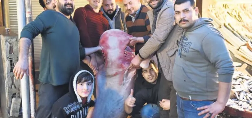 Akdeniz’de 5 metrelik köpek balığı yakalandı