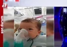 Yunus bebek Türkiyeye getirildi