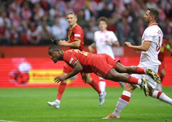 Fenerbahçe'de Batshuayi sesleri - 1
