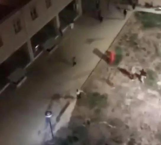 1667471118701.jpg Kız yurduna satırla girdi! Öğrenciler korkuyla bağırdı: Sabaha çıkartmam seni - 1
