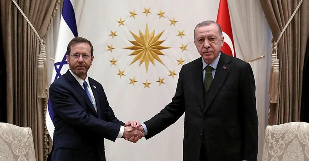 Başkan Erdoğan ve İsrail Cumhurbaşkanı Isaac Herzog görüşmesinden görüntüler