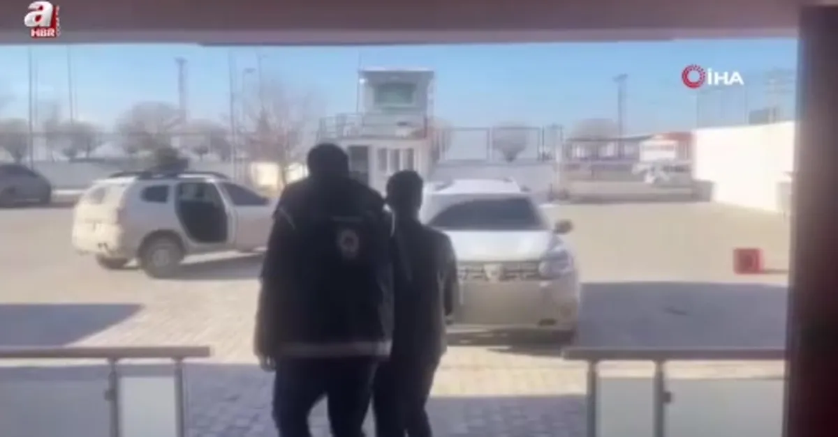 Van’da 6 organizatör yakalandı