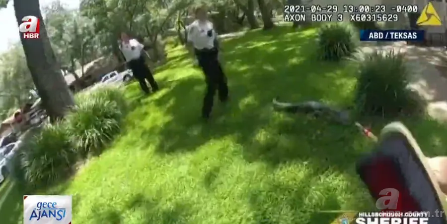 Sürücülerin kabusu oldu! Geceleri ortaya çıkıp yola fırlıyor 14