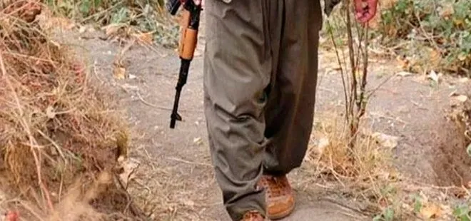 Son dakika: PKK’da çözülme devam ediyor! Gri Kategorideki terörist teslim oldu