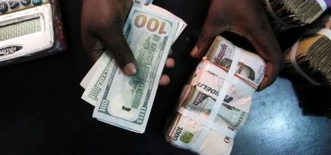 ECOWAS üyesi ülkelerde ortak para birimi hazırlığı