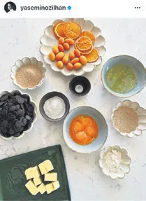 Yasemin Özilhan’ın paylaşımı alay konusu oldu! Birebir kopyaladı